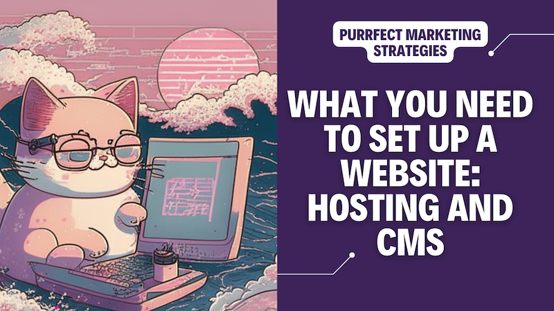 What you need to set up a website hosting and content management system